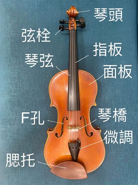小提琴 自學